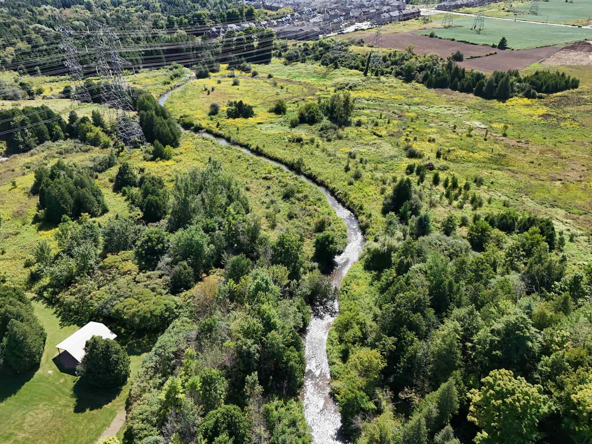 A narrow brook winds through a green valley with trees, open fields, and a distant residential area under power lines.