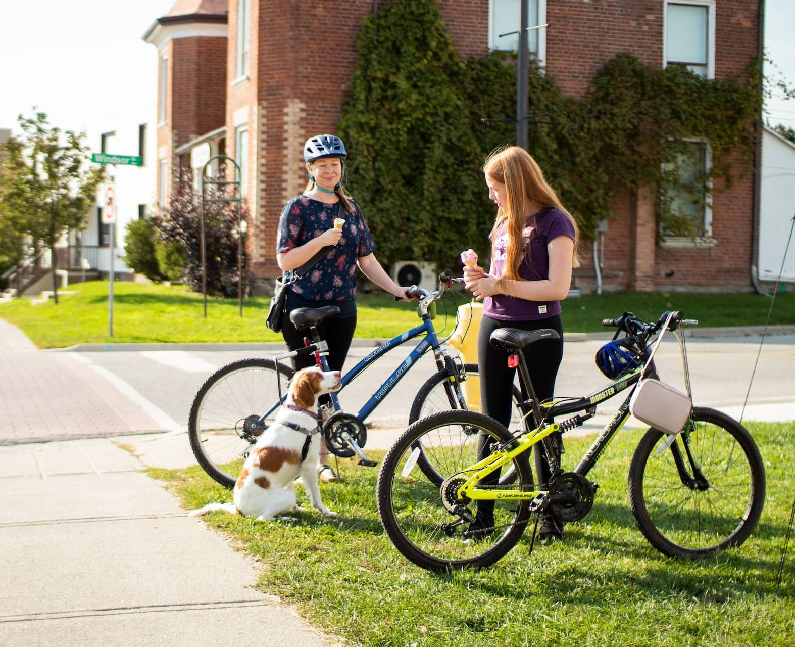 Two people with bicycles stop on a pavement; one person holds an ice cream and a dog sits next to them.