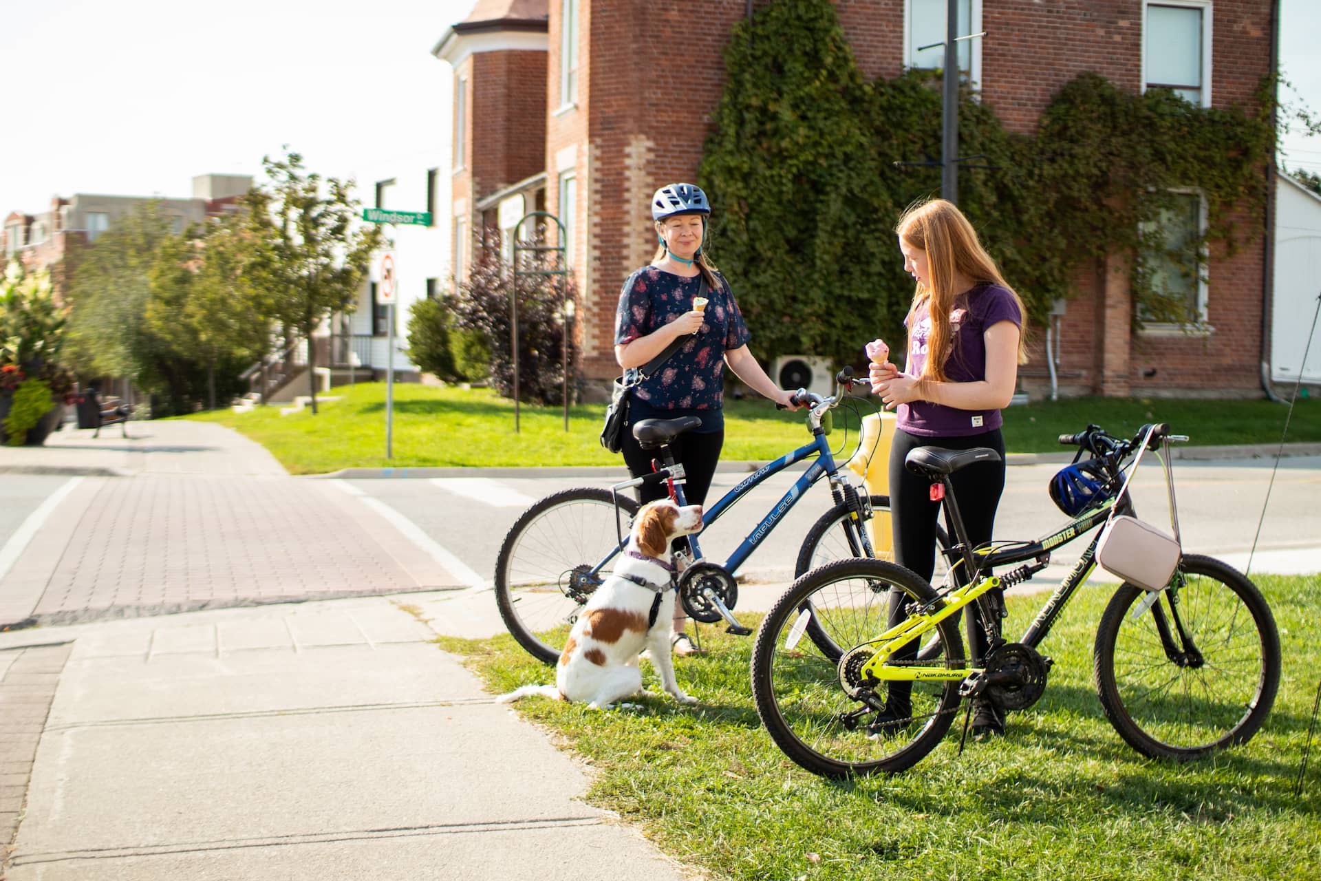 Two people with bicycles stop on a pavement; one person holds an ice cream and a dog sits next to them.