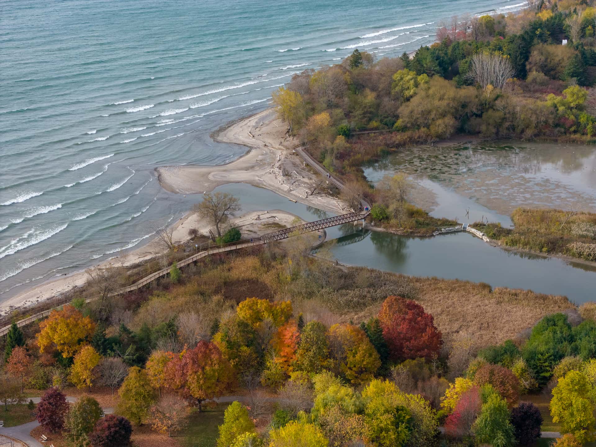 Aerial view of a shoreline with a sandy beach, promenade, trees with autumn foliage, and a small pond.