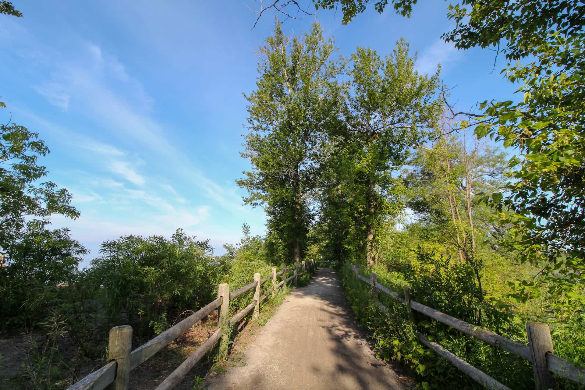 Dirt path lined with wooden fences and trees under a clear blue sky on a sunny day.