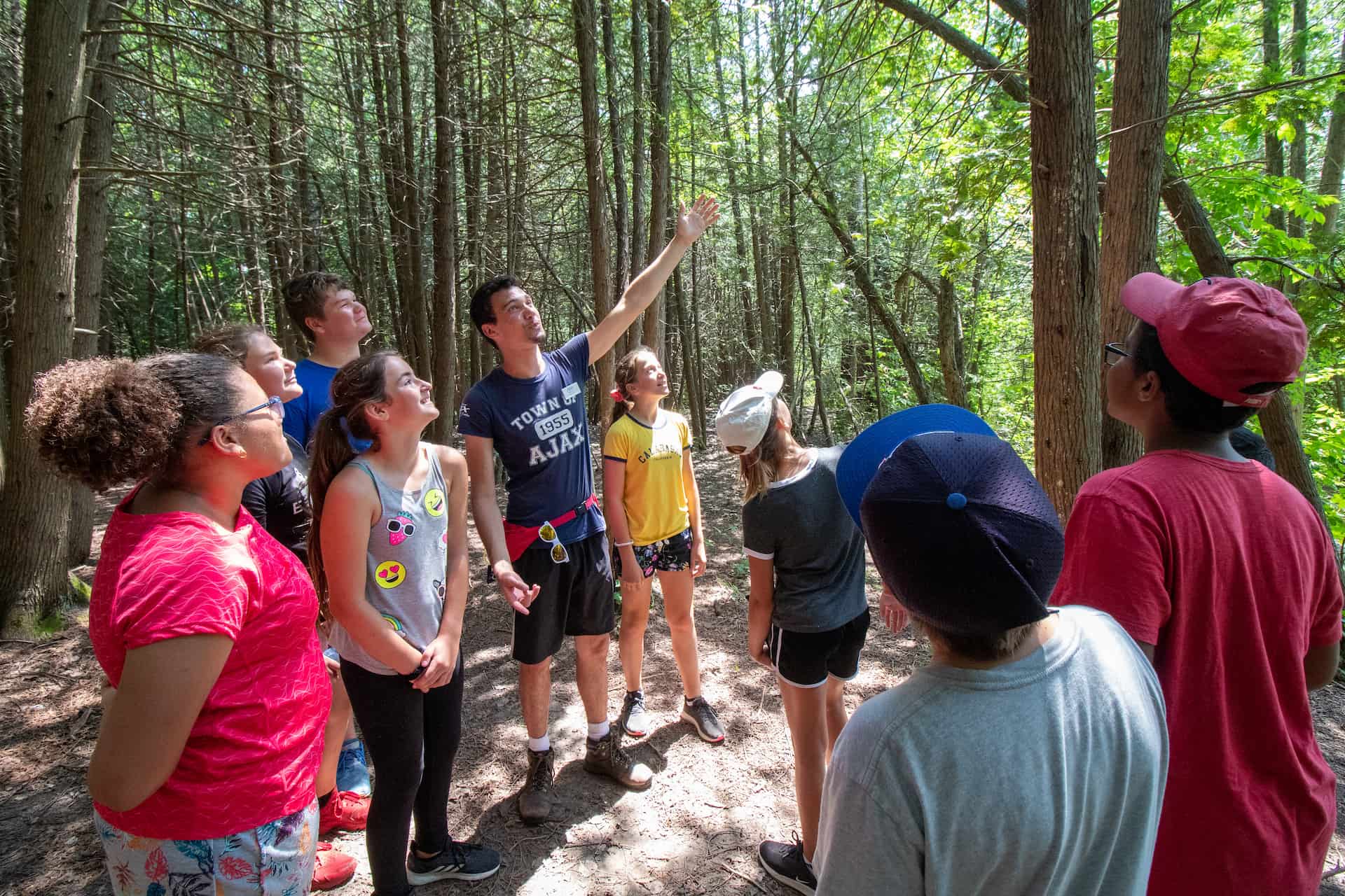 A group of people stand in a forest, looking up as one person points towards the trees.