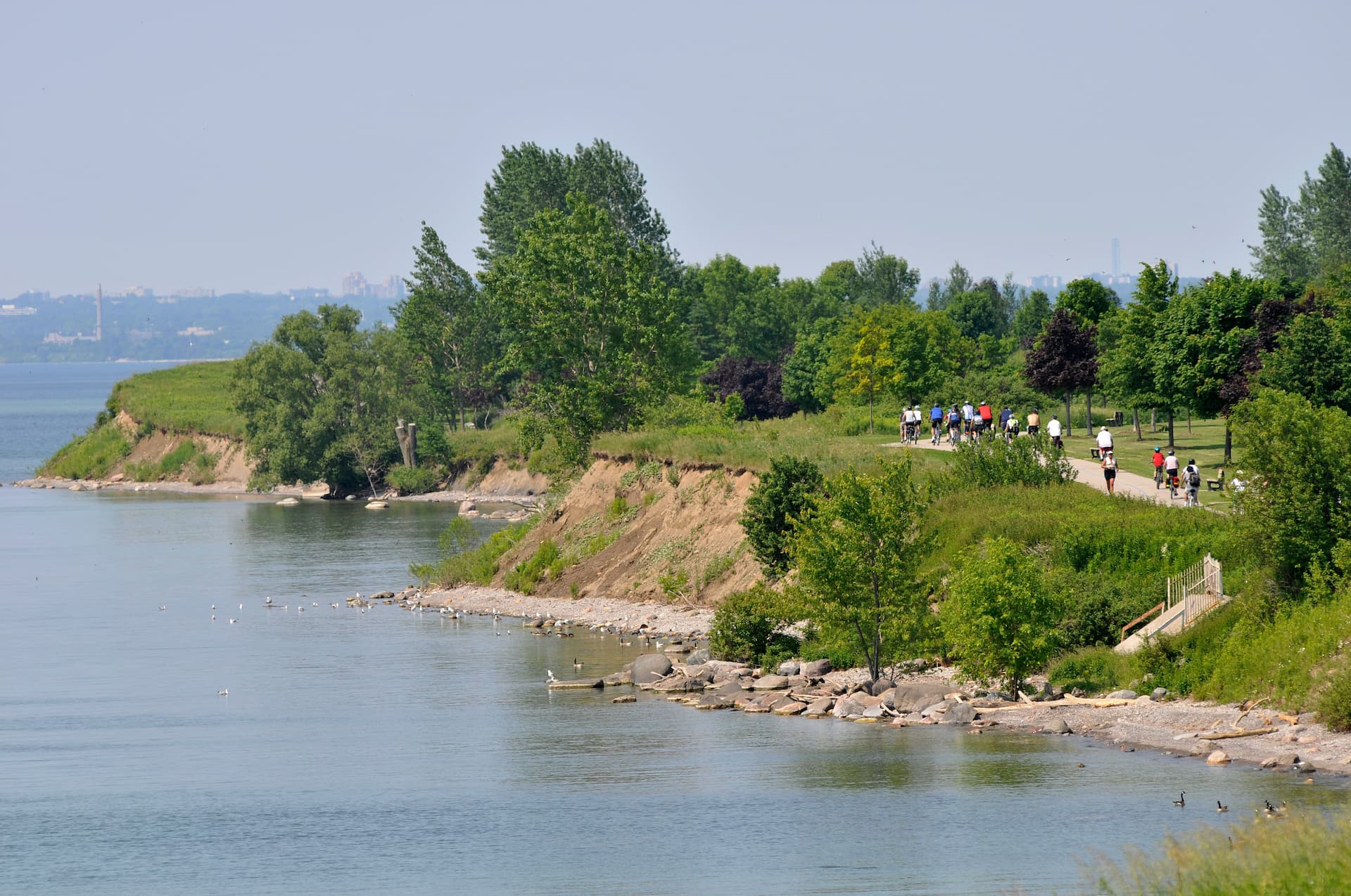 People walk and jog on a paved path along a green, tree-lined shore beside calm water on a clear day.