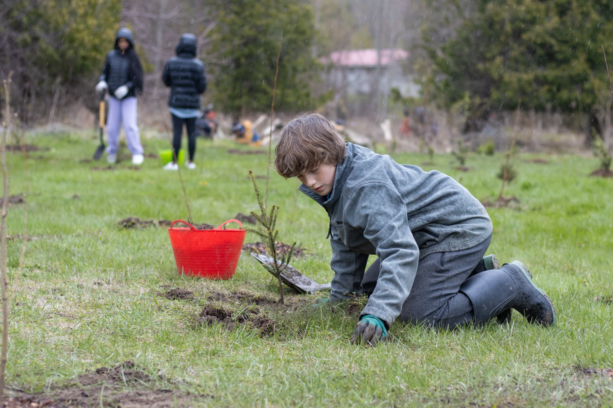 A boy kneels on grass planting a small tree, with a red bucket nearby and others working in the background.