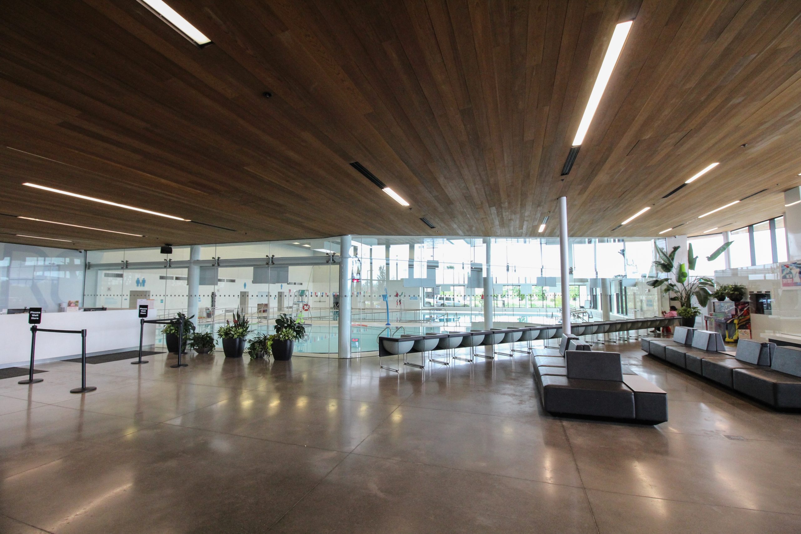Modern indoor swimming pool facility lobby with large windows, potted plants, grey seating, and a wooden ceiling.