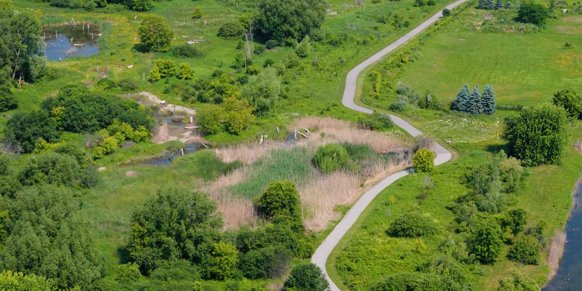 Aerial view of a winding paved path through green fields, trees, and wetlands on a sunny day.